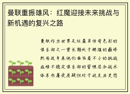 曼联重振雄风：红魔迎接未来挑战与新机遇的复兴之路